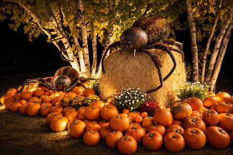FOTKA - Halloween v botanick� zahrad� v Troji zavede n�v�t�vn�ky do prav�ku
