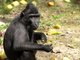 Zoo Děčín otevře sezonu třemi dny zajímavých akcí