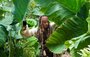 Dal pokraovn filmu Pirti z Karibiku: Na vlnch podivna