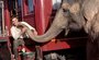 Voda pro slony - vpravn romance z cirkusovho prosted