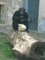 Zvířata v zoo dostala vajíčka s překvapením
