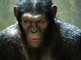 Zrozen Planety opic - Msto evoluce  revoluce