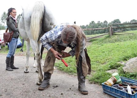 FOTKA - Farm hled enu - Hromadn rande