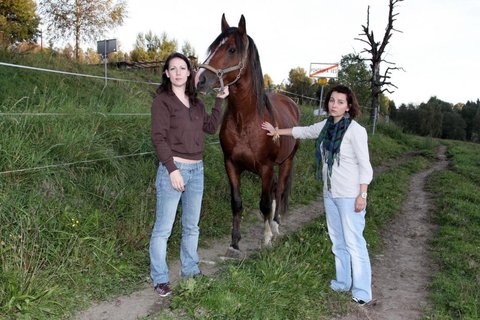 FOTKA - Farm hled enu - Jak si kter zvolila, tak si lehne