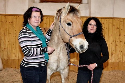 FOTKA - Farm hled enu - Jak si kter zvolila, tak si lehne