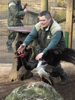 FOTKA - Zoo Dn pomalu ukonuje zimovn zvat