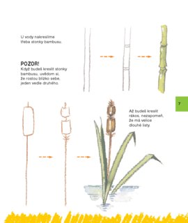 FOTKA - Nau se kreslit 2 - Nau se kreslit krok za krokem zvata a postavy z dungle