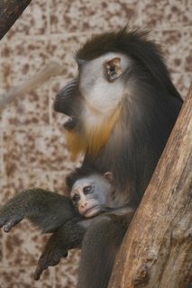 FOTKA - Zahjen letn sezny v zoo