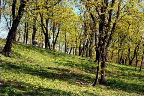 FOTKA - Naun stezka Na vrchu Svatho Ke