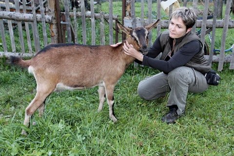 FOTKA - Farm hled enu - Bilancovn