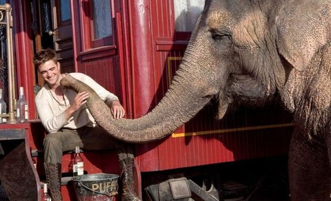 FOTKA - Voda pro slony - vpravn romance z cirkusovho prosted