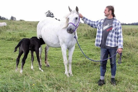 FOTKA - Farm hled enu - Romantick vkend zan!