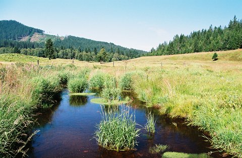 FOTKA - Moje toulky eskou krajinou