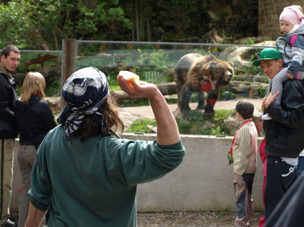 FOTKA - Zoo startuje komentovan krmen zvat