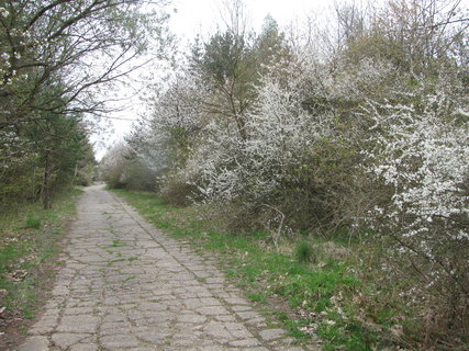 FOTKA - Ejpovick jezero a okol