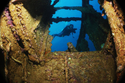 FOTKA - Objevte ndhern podvodn svt Dominiknsk republiky