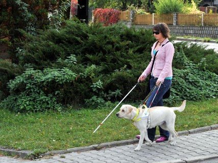 FOTKA - Alma - film o tnti, kter zmnilo ivoty dvou dosplch lid