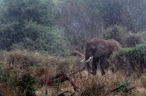 FOTKA - Cesty do neznma - Africa obscura