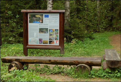 FOTKA - Hamersk vychzkov okruh a sochy Michala Oliaka