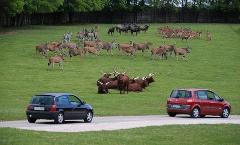 FOTKA - Na safari vlastnm vozem poprv v esku!