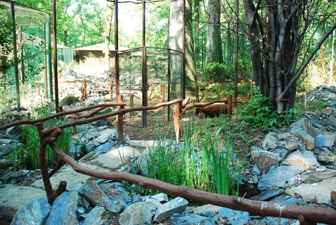 FOTKA - Kter ZOO zsk ocenn Blho slona za rok 2010?