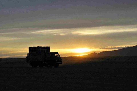 FOTKA - Kon Pevalskho spn zvldli nron transport do Mongolska