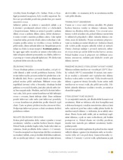 FOTKA - Marmeldy a el - Dokonal chu a vn v jedin sklenici