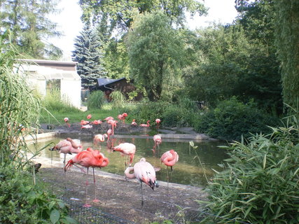 FOTKA - Tip na vlet pro celou rodinu - ZOO Ostrava