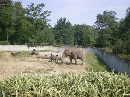 FOTKA - Tip na vlet pro celou rodinu - ZOO Ostrava