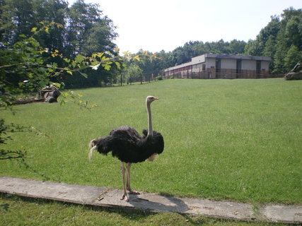 FOTKA - Tip na vlet pro celou rodinu - ZOO Ostrava