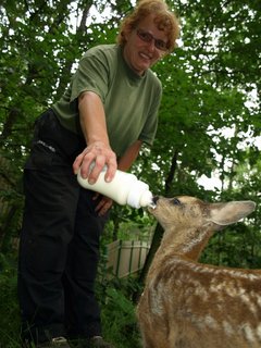 FOTKA - V ZOO Dn vypiplali mld srnky pinesen z lesa