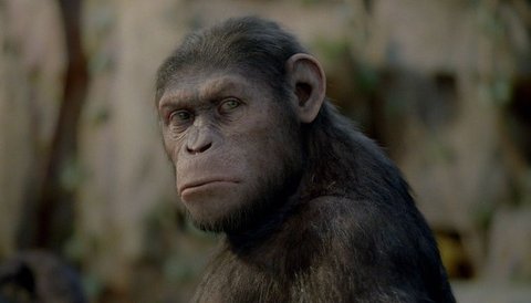 FOTKA - Zrozen Planety opic - Msto evoluce  revoluce