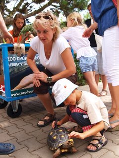 FOTKA - Ze ivota plaz aneb jak vypad lebka krokodla