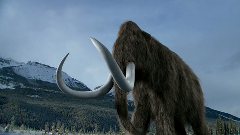 FOTKA - Mamut - titn doby ledov