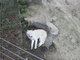 Tip na podzimní výlet - ZOO Olomouc