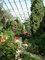 Bergianska botanick zahrada