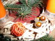 Vyrob si sama - Adventn vnec z klack