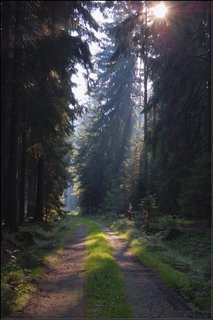 FOTKA - Babnsk rybnk - evropsky vznamn lokalita