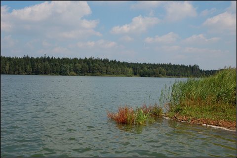 FOTKA - Babnsk rybnk - evropsky vznamn lokalita
