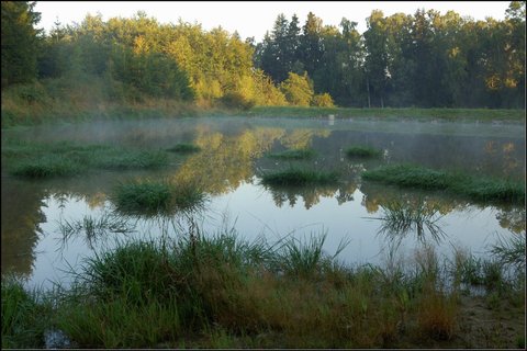 FOTKA - Babnsk rybnk - evropsky vznamn lokalita