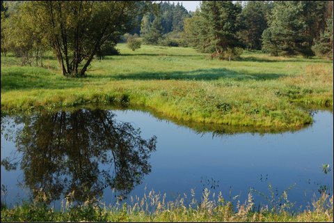 FOTKA - Babnsk rybnk - evropsky vznamn lokalita