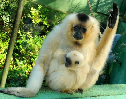 FOTKA - V olomouck ZOO probhl ktinov maraton