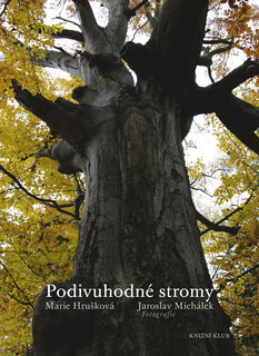 FOTKA - Podivuhodn stromy