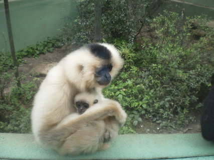 FOTKA - Tip na podzimn vlet - ZOO Olomouc