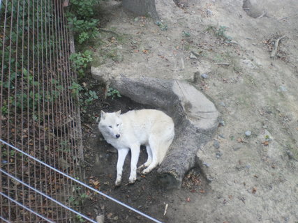 FOTKA - Tip na podzimn vlet - ZOO Olomouc