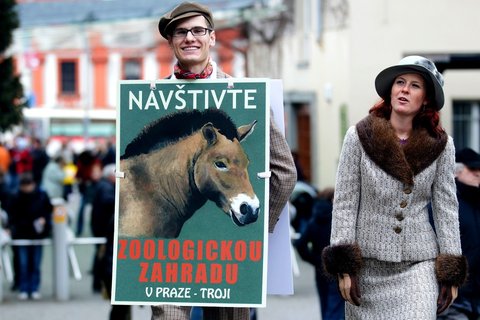 FOTKA - ZOO Praha slav osmdestiny, pijte v dobovm kostmu!