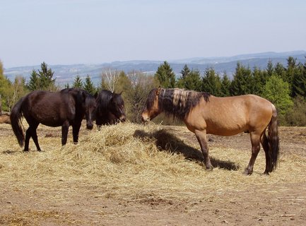 FOTKA - P vlet kolem Monnce