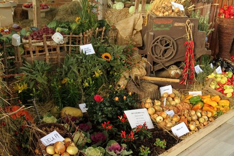 FOTKA - Podzimn zahradnick Flora Olomouc 2011