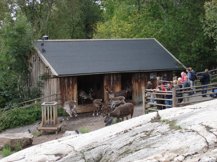 FOTKA - Stockholm - Skansen