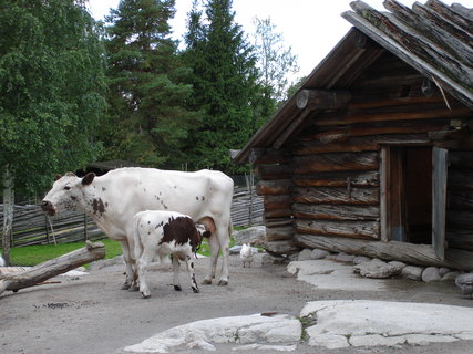 FOTKA - Stockholm - Skansen